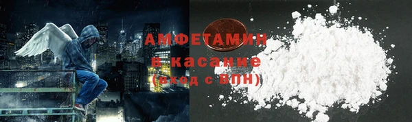 прущие грибы Алзамай
