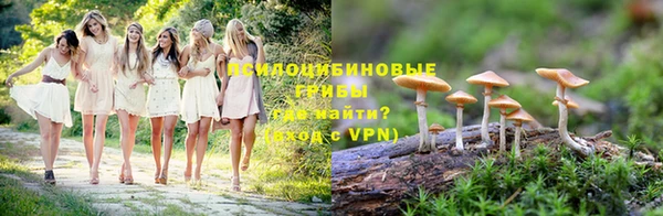 амф Абаза