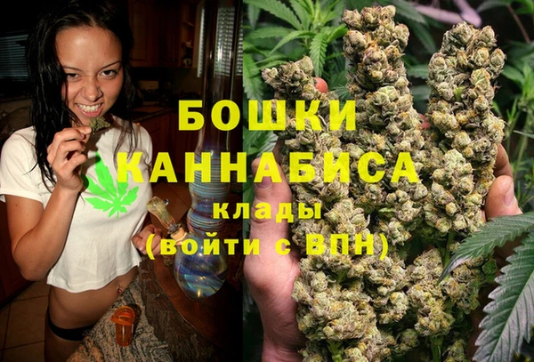 мдпв Протвино
