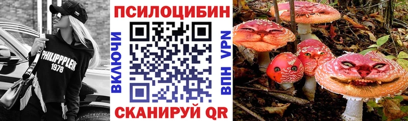 kraken ссылки  Инта  Галлюциногенные грибы прущие грибы 